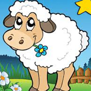 Ovčí pop